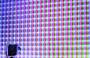 installation:it_s_organic_if_you_look_close_enough_3918.jpg